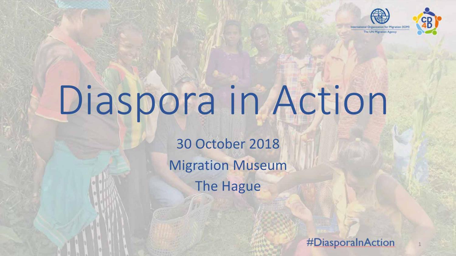 Diaspora in Action Conference Report